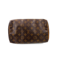 Louis Vuitton Speedy 25 Monogram