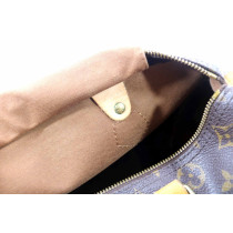 Louis Vuitton Speedy 30 Monogram