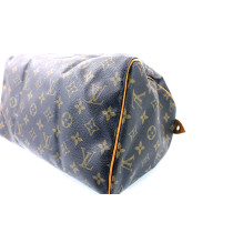 Louis Vuitton Speedy 30 Monogram