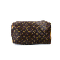 Louis Vuitton Speedy 30 Monogram