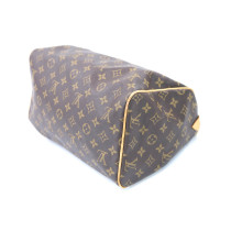 Louis Vuitton Speedy 30 Monogram