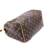 Louis Vuitton Speedy 30 Monogram