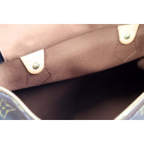Louis Vuitton Speedy 30 Monogram