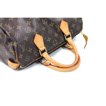 Louis Vuitton Speedy 30 Monogram