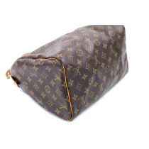 Louis Vuitton Speedy 30 Monogram