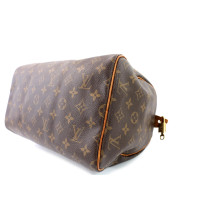 Louis Vuitton Speedy 30 Monogram