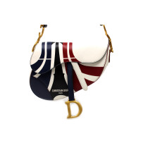 Dior Saddle Pelle Multicolor