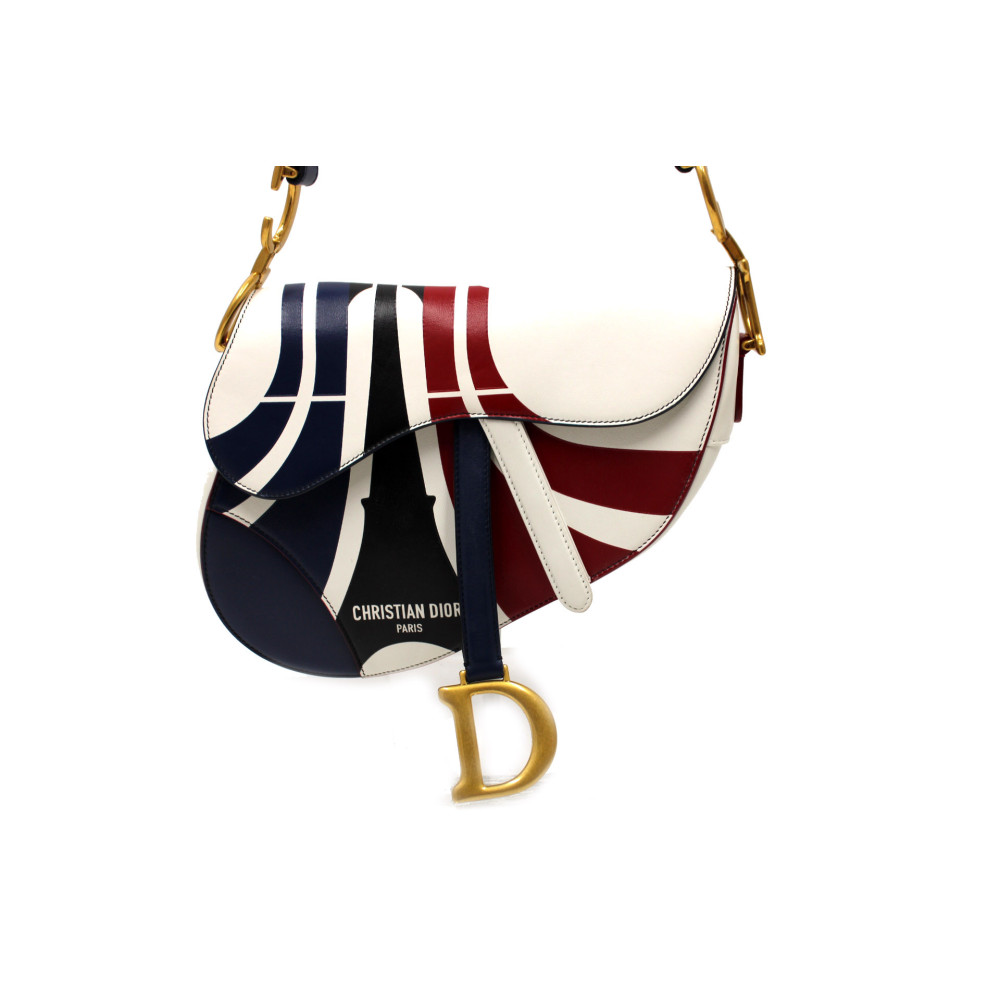 Dior Saddle Pelle Multicolor