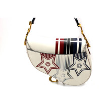 Dior Saddle Pelle Multicolor