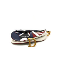 Dior Saddle Pelle Multicolor