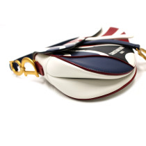 Dior Saddle Pelle Multicolor