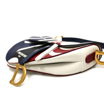 Dior Saddle Pelle Multicolor