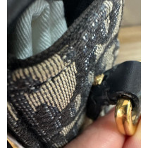 Dior Montaigne 30 Tela Oblique Blu