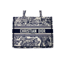 Dior Book Tote Tela Blu