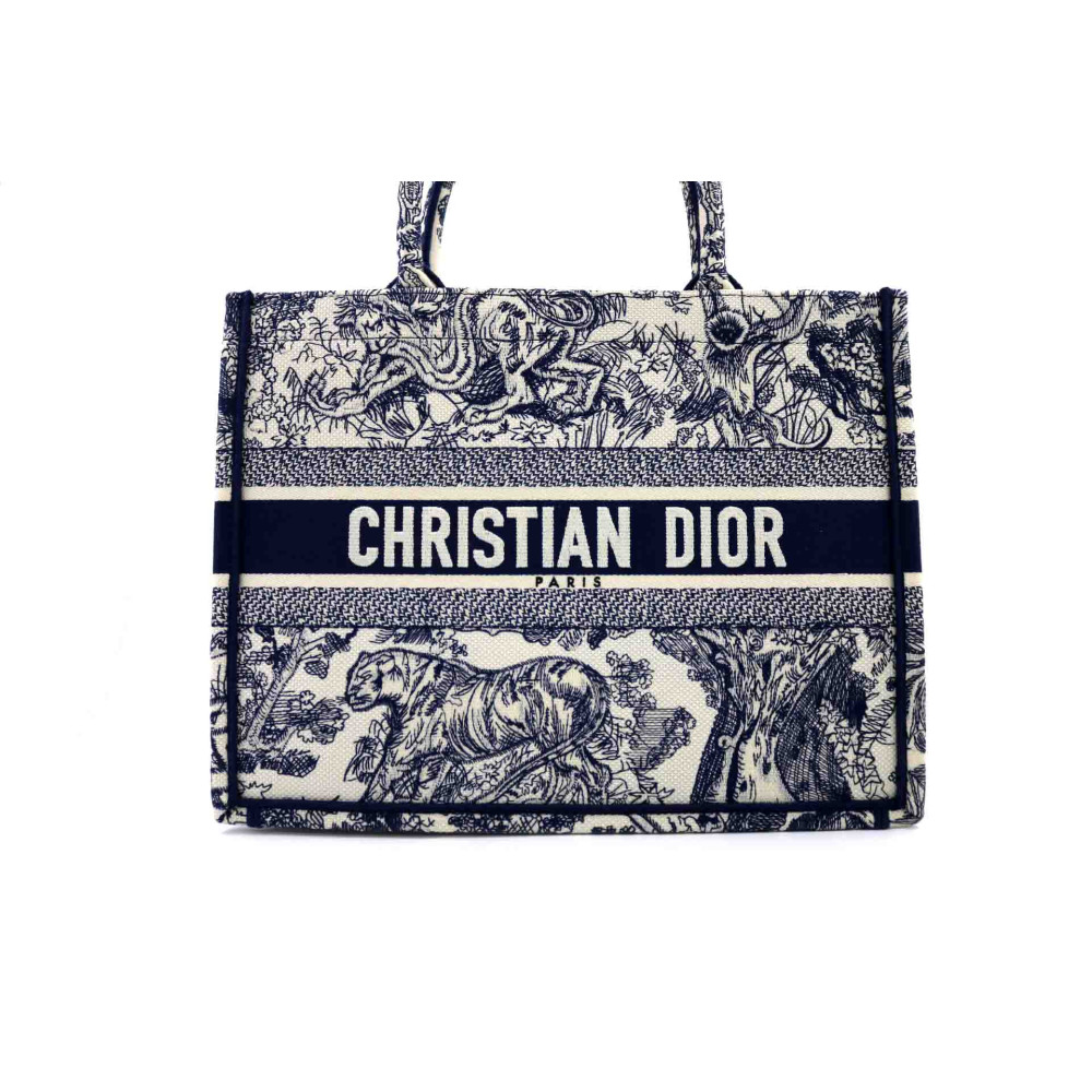 Dior Book Tote Tela Blu
