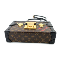 Louis Vuitton Petite Malle Pelle Marrone
