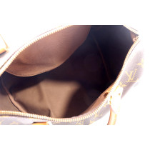 Louis Vuitton Speedy 30 Monogram
