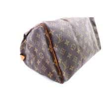Louis Vuitton Speedy 30 Monogram