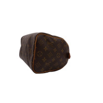 Louis Vuitton Speedy 25 Monogram