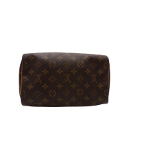 Louis Vuitton Speedy 25 Monogram