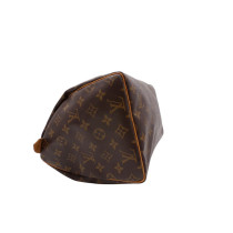 Louis Vuitton Speedy 30 Monogram