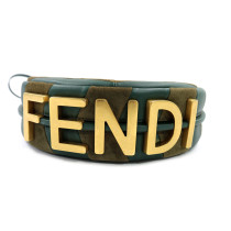 Fendi Fendigraphy Mini Pelle e Camoscio Verde