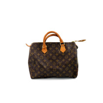 Louis Vuitton Speedy 30 Monogram