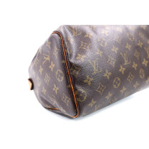 Louis Vuitton Speedy 25 Monogram