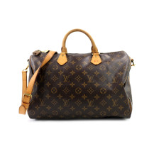 Louis Vuitton Speedy 30 Monogram