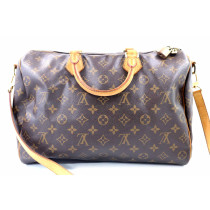 Louis Vuitton Speedy 30 Monogram
