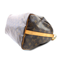 Louis Vuitton Speedy 30 Monogram