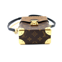 Louis Vuitton Camera Box Monogram Reverse