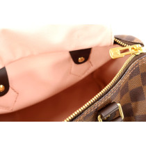 Louis Vuitton Speedy Limited Damier Ebene