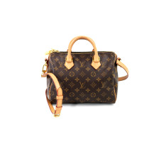 Louis Vuitton Speedy 25 Monogram
