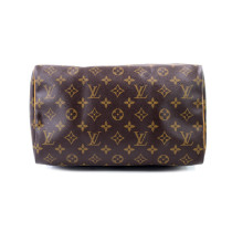 Louis Vuitton Speedy 30 Monogram