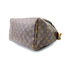 Louis Vuitton Speedy 30 Monogram