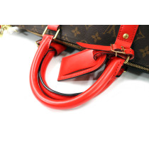 Louis Vuitton Keepall Monogram
