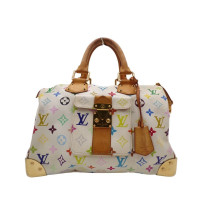 Louis Vuitton Speedy 30 Multicolor