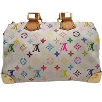 Louis Vuitton Speedy 30 Multicolor