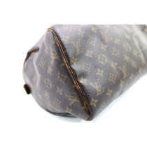 Louis Vuitton Speedy 30 Monogram