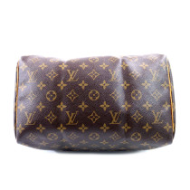Louis Vuitton Speedy 30 Monogram