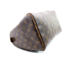 Louis Vuitton Speedy 30 Monogram