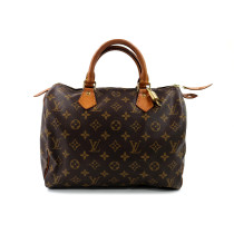 Louis Vuitton Speedy 30 Monogram