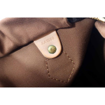 Louis Vuitton Speedy 25 Monogram