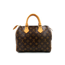 Louis Vuitton Speedy 25 Monogram