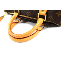Louis Vuitton Speedy 25 Monogram