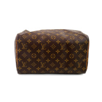 Louis Vuitton Speedy 30 Monogram