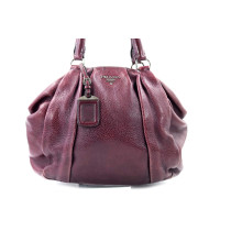 Prada Shopping Pelle Prugna