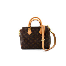 Louis Vuitton Speedy 25 Monogram