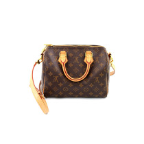 Louis Vuitton Speedy 25 Monogram
